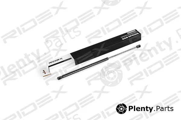 Ridex 219G0394 — Gas Spring, boot/cargo area
