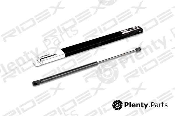 Ridex 219G0254 — Gas Spring, boot/cargo area