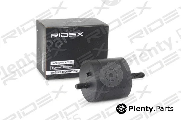 Ridex 247E0199 — Mounting, engine