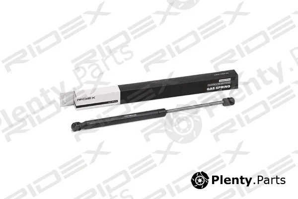 Ridex 219G0862 — Gas Spring, boot/cargo area