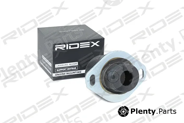 Ridex 247E0066 — Mounting, engine