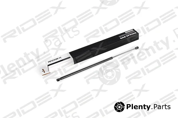 Ridex 219G0553 — Gas Spring, boot/cargo area