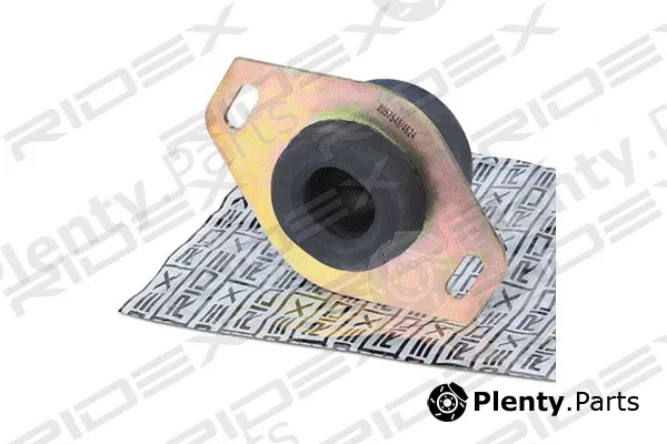 Ridex 247E0044 — Mounting, engine