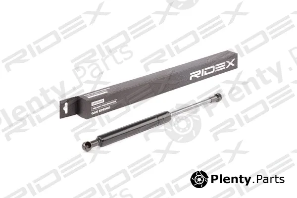 Ridex 219G0252 — Gas Spring, boot/cargo area