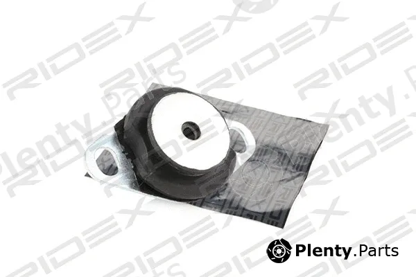 Ridex 247E0137 — Mounting, engine