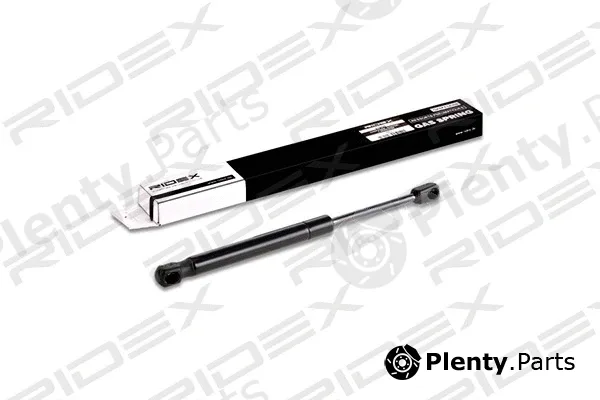 Ridex 219G0156 — Gas Spring, boot/cargo area