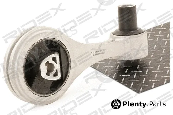 Ridex 247E0233 — Mounting, engine