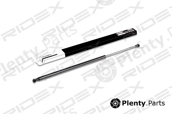 Ridex 219G0134 — Gas Spring, boot/cargo area
