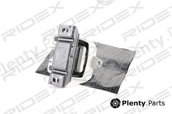 Ridex 247E0075 — Mounting, engine
