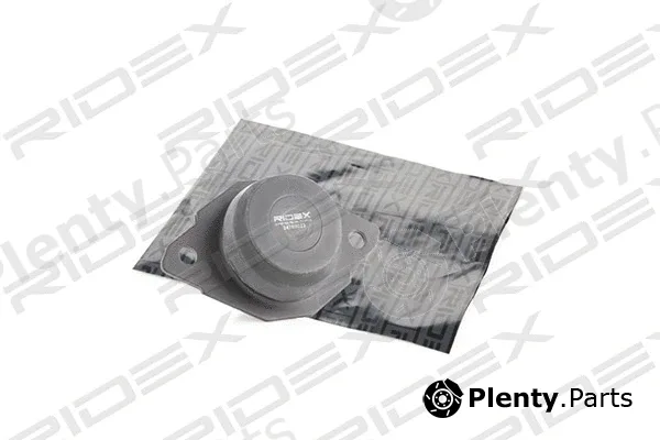 Ridex 247E0023 — Mounting, engine