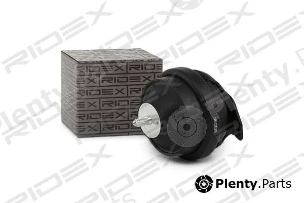 Ridex 247E0026 — Mounting, engine
