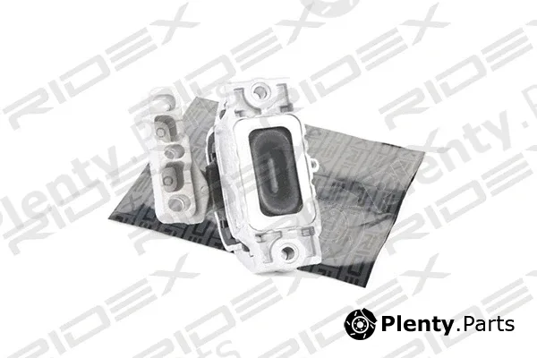 Ridex 247E0037 — Mounting, engine