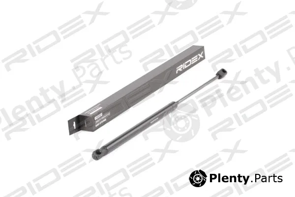 Ridex 219G0675 — Gas Spring, boot/cargo area