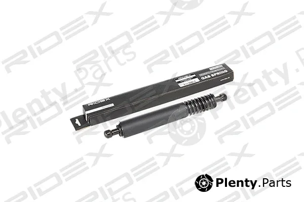 Ridex 219G0493 — Gas Spring, boot/cargo area