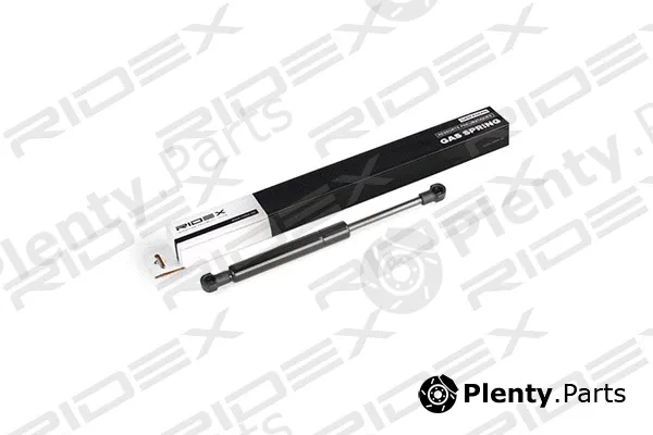 Ridex 219G0479 — Gas Spring, boot/cargo area