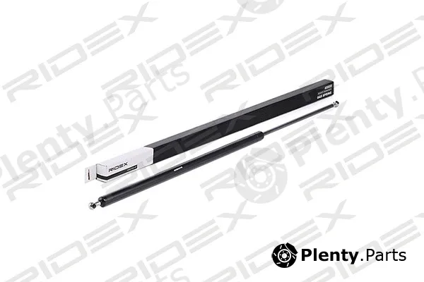 Ridex 219G0149 — Gas Spring, boot/cargo area