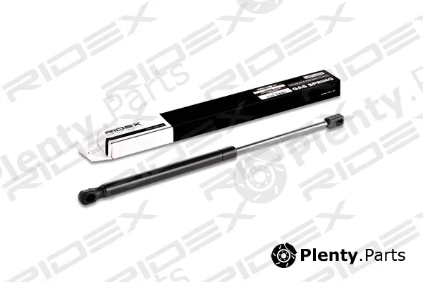 Ridex 219G0205 — Gas Spring, boot/cargo area