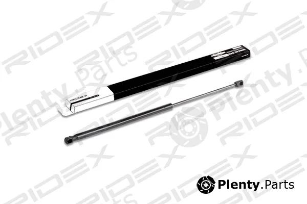 Ridex 219G0157 — Gas Spring, boot/cargo area