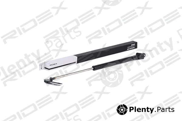Ridex 219G0171 — Gas Spring, boot/cargo area