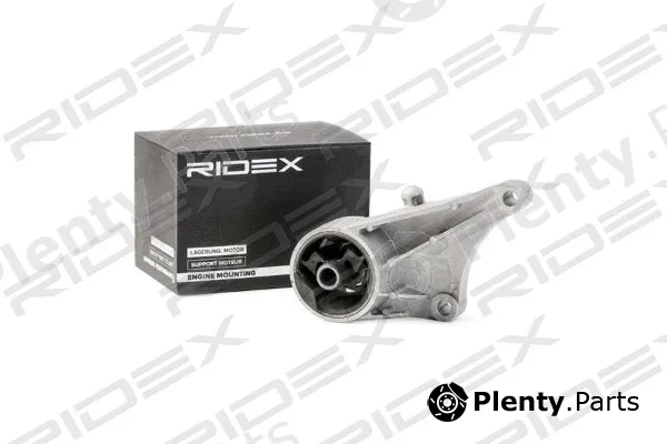 Ridex 247E0089 — Mounting, engine