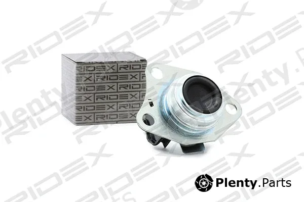Ridex 247E0017 — Mounting, engine