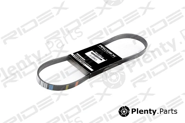 Ridex 305P0031 — V-Ribbed Belt