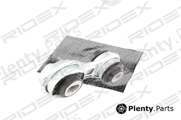 Ridex 247E0069 — Mounting, engine