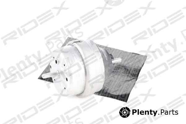 Ridex 247E0113 — Mounting, engine
