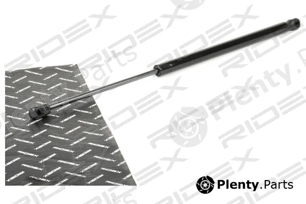 Ridex 219G0944 — Gas Spring, boot/cargo area