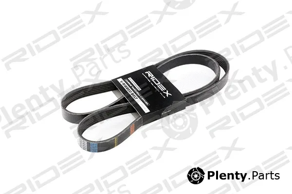 Ridex 305P0239 — V-Ribbed Belt