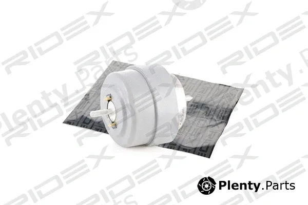 Ridex 247E0071 — Mounting, engine