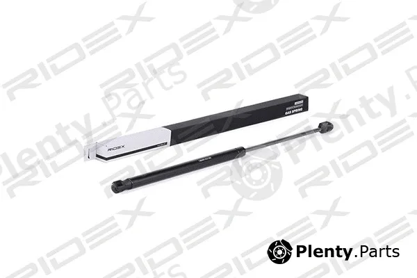 Ridex 219G0685 — Gas Spring, boot/cargo area