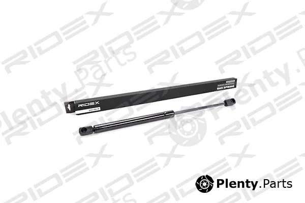 Ridex 219G0019 — Gas Spring, boot/cargo area