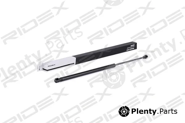 Ridex 219G0243 — Gas Spring, boot/cargo area
