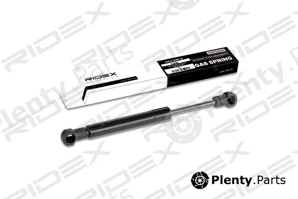 Ridex 219G0293 — Gas Spring, boot/cargo area