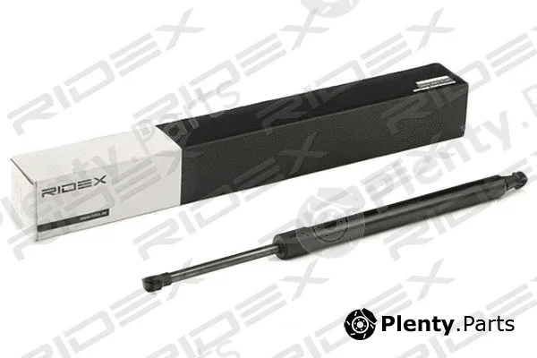 Ridex 219G0889 — Gas Spring, boot/cargo area