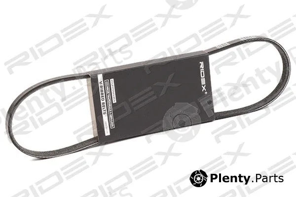 Ridex 305P0381 — V-Ribbed Belt