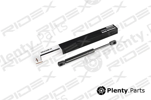 Ridex 219G0458 — Gas Spring, boot/cargo area