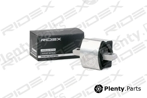 Ridex 247E0206 — Mounting, engine