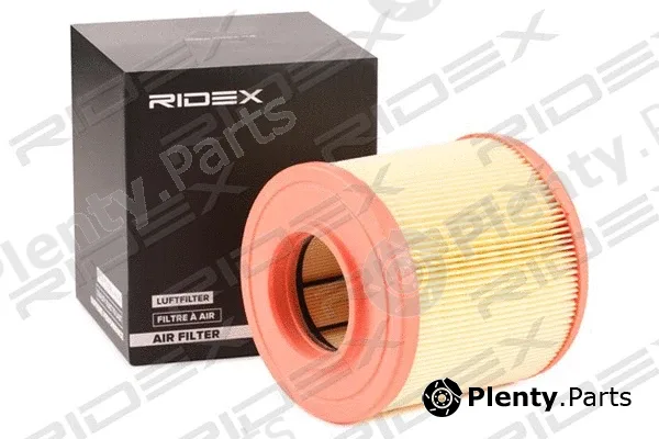Ridex 8A0809 — Air Filter