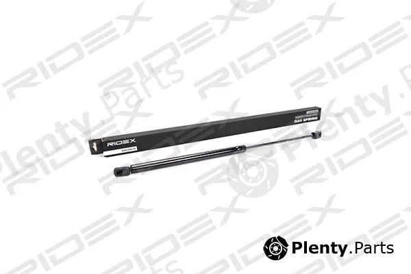 Ridex 219G0100 — Gas Spring, boot/cargo area