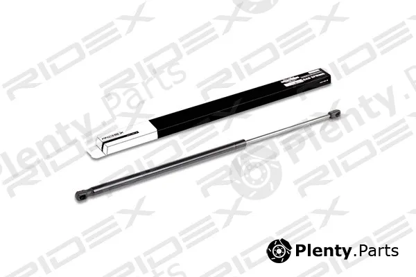 Ridex 219G0196 — Gas Spring, boot/cargo area