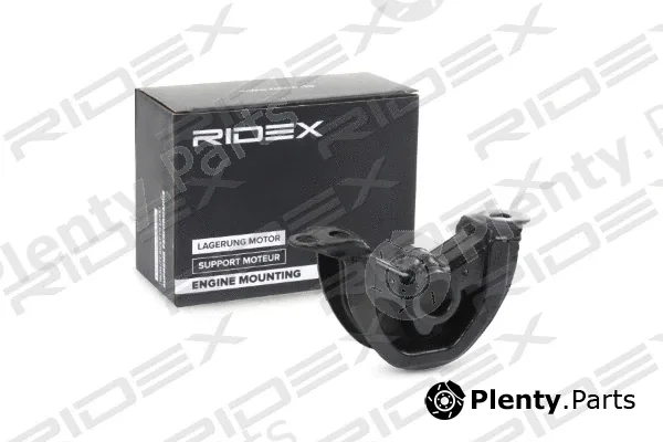 Ridex 247E0244 — Mounting, engine