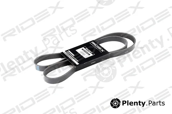 Ridex 305P0169 — V-Ribbed Belt