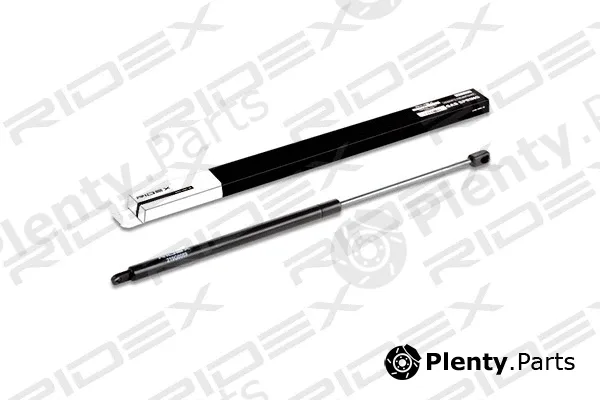 Ridex 219G0089 — Gas Spring, boot/cargo area