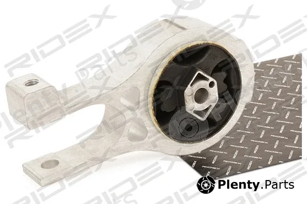 Ridex 247E0309 — Mounting, engine