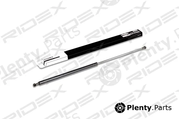 Ridex 219G0342 — Gas Spring, boot/cargo area