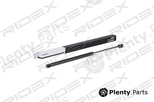 Ridex 219G0298 — Gas Spring, boot/cargo area
