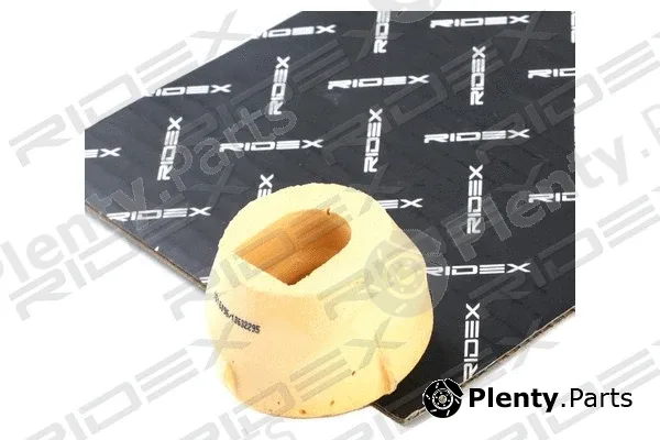 Ridex 247E0185 — Mounting, engine