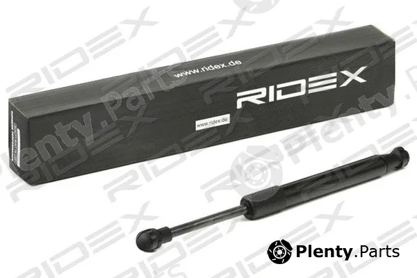 Ridex 219G0692 — Gas Spring, boot/cargo area